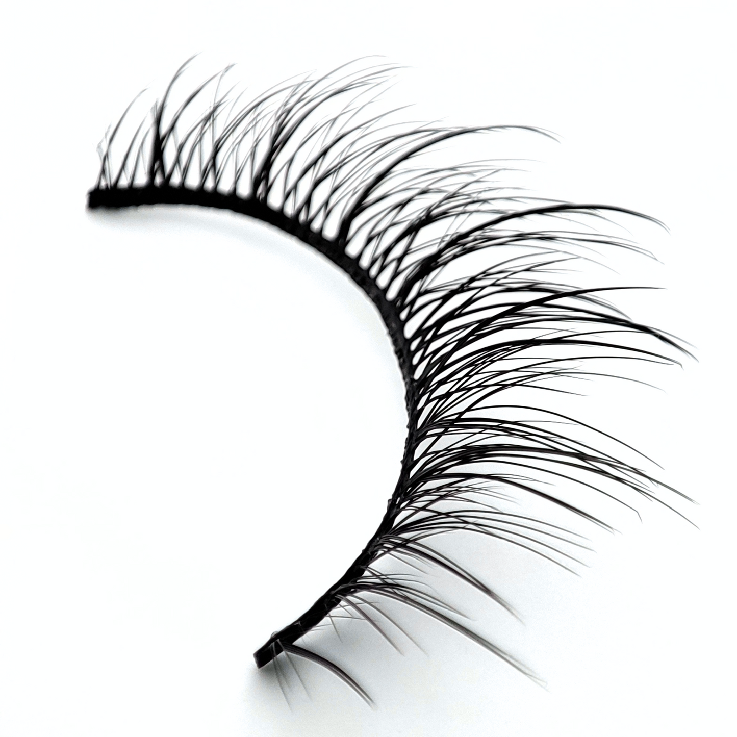 Moonlight - Self Adhesive Lashes