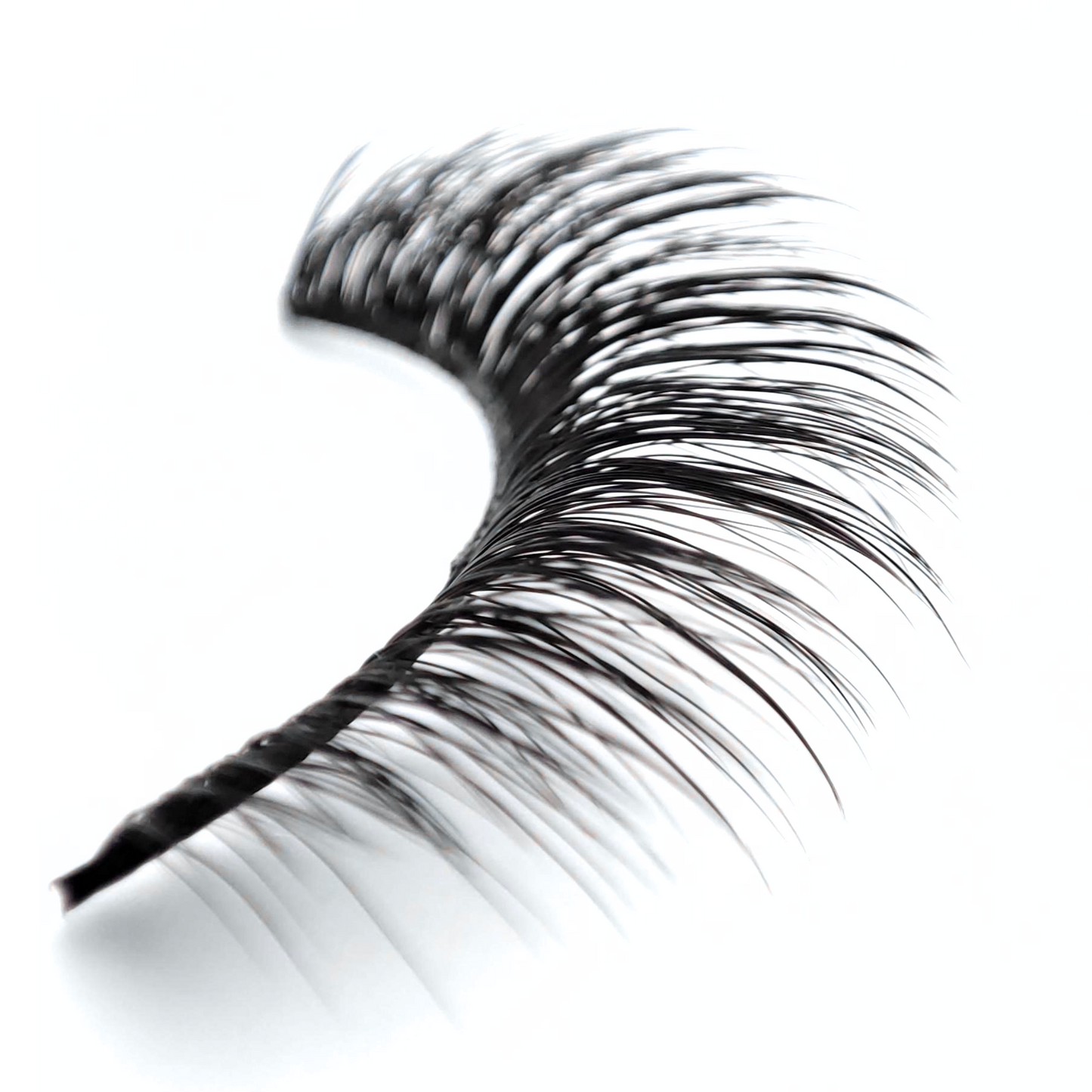 Starlight - Self Adhesive Lashes